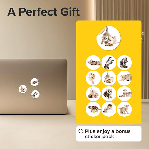 Super Cute Fridge & Locker Magnets – 12 Vibrant Glass Magnets for Photos, Notes, Recipes, Aesthetic Decoration