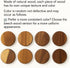 3-Pack 6'' AceList Round Floating Shelves for Wall Decor, Diameter Acacia Wood Floating Shelf, Cup Plant Wall Shelves