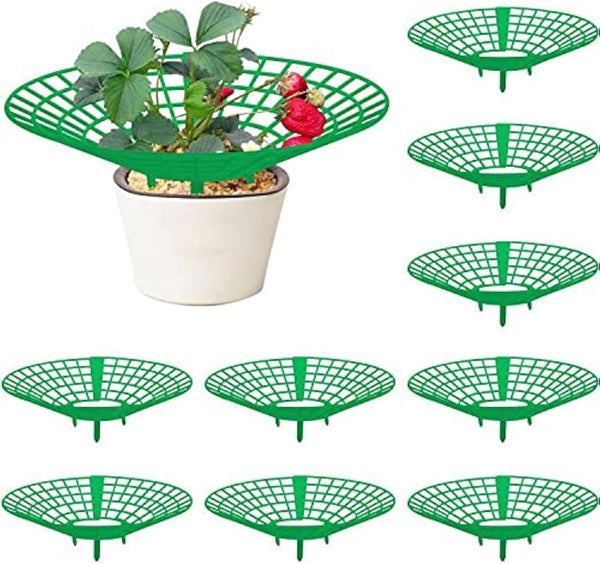 codree 10 Pack Strawberry Plant Supports, Strawberry Plant Stand with 3 Sturdy Legs,