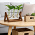 3 Bulb YIBOT Propagation Stations,Plant Terrarium with Retro Wooden Stand, Unique Gardening Birthday Gifts for Women