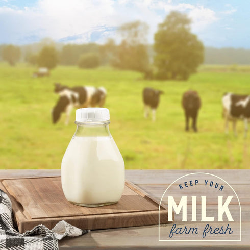 16 Oz 16 Pack 2 kitchentoolz Glass Milk Bottle with Lid - Ounce Short and Wide Glass Milk Container for Refrigerator