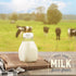 16 Oz 16 Pack 2 kitchentoolz Glass Milk Bottle with Lid - Ounce Short and Wide Glass Milk Container for Refrigerator