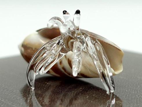 Sea Shell Seashell Hermit Crab Conch Tiny Miniature Figurines Beach Animals Hand Blown Glass Art Natural Collectible