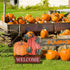 YEAHOME Fall Decorations, 22" Decorative Garden Stakes with 2 Pack Pumpkin Welcome Sign for Outdoor Yard Decor