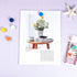ZDZBLX 50 Pack Fridge Magnets, 10 Colors Cute Mini Strong Magnets for Office, Crafts, Classroom