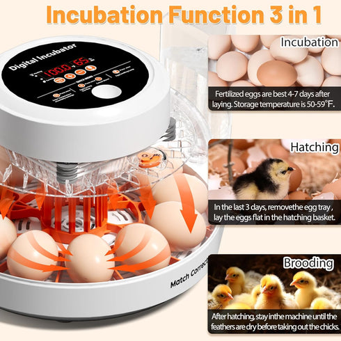 12 Egg Incubator for Hatching Eggs with Automatic Egg Turning, Temperature & Humidity Control Display, Built-in LED Egg