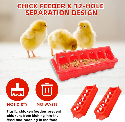75W Chick Feeder and Waterer Kit with Heat Lamp, Chick Perch, Flip Top Poultry Feeder, Baby Chick Starter Kit for Chick