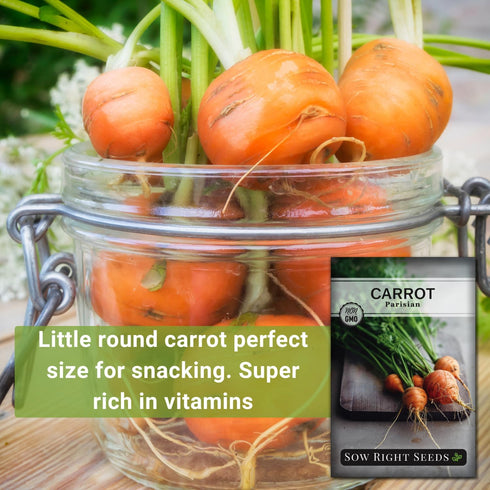 Packet (1) Sow Right Seeds - Parisian Carrot Seed for Planting - Gourmet Round Delicacy - Non-GMO Heirloom