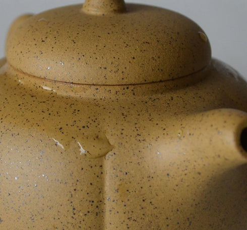 Teapot 8oz Chinese Clay Zisha Tea Pots, Yellow Zini Eggplant for Loose Tea Coffee