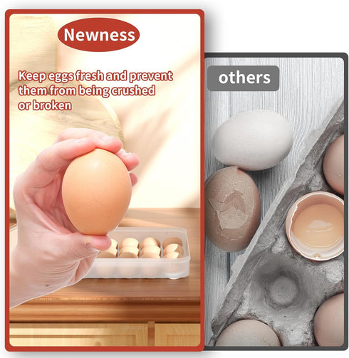 Newness Deviled Egg Containers with Lid, Set of 2 Plastic Egg Platter for 48 Devil Eggs, Clear Storage Carrier