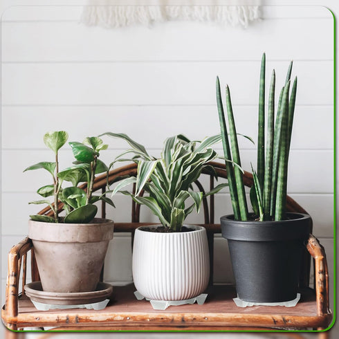 6 Patio(11.8 Inch,White) Panelee Pcs Plant Pot Stand Riser Adjustable Cuttable Plastic Under Plant Stand Prevent Water