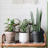 6 Patio(11.8 Inch,White) Panelee Pcs Plant Pot Stand Riser Adjustable Cuttable Plastic Under Plant Stand Prevent Water