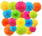Set of 20 Paper Pom Poms Color Tissue Flowers Hanging Fans for Celebration Wedding Birthday Party Halloween Christmas