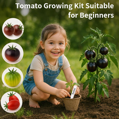 EquSym 10 Pack Set Tomato Seeds for Planting - Heirloom Tomato Seeds for Indoor Outdoor Gardening - Natural Soil Disc