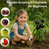 EquSym 10 Pack Set Tomato Seeds for Planting - Heirloom Tomato Seeds for Indoor Outdoor Gardening - Natural Soil Disc