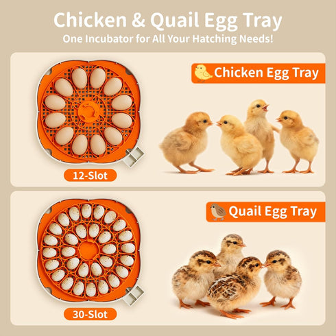 12 30 APDOE Egg Incubators for Hatching Eggs, Temperature and Humidity Control, Automatic Egg Turning, Egg Candler