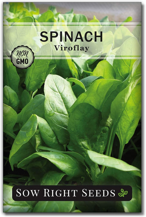 Sow Right Seeds - Viroflay Spinach Seed for Planting - Non-GMO Heirloom