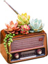 Wooden Pots, Mini Flowerpot, Retro Resin Succulent Planter Bonsai Pot Desk Holder Mini Ornament (Radio Natural)