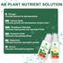 (8-Pod) Lettuce Seed Pod Kit, Romaine, Butter Head, Red Sail, Red&Green Leaf, Red Sail Lettuce, Grow Anything Seed Pod