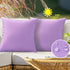VAKADO Outdoor Waterproof Throw Pillow Covers 26X26 Set of 2 Decorative Purple