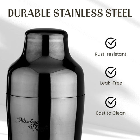 Set 10-Piece Set Mixology & Craft Cocktail Shaker with Bamboo Stand - Professional Bartender Kit - Complete Bar