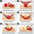 16-Blade 4.72 Inch SCHVUBENR Apple Slicer and Corer - Sharp Stainless Steel Apple Cutter - Professional Apple Divider