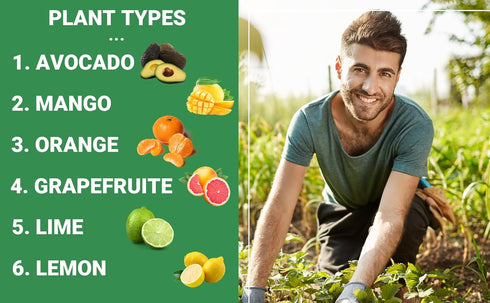 (3 GARDENWISE Avocado & Citrus Tree Fertilizer for Indoor & Outdoor Plants | Quick-Release Nitrogen - Citrus Fertilizer