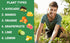 (3 GARDENWISE Avocado & Citrus Tree Fertilizer for Indoor & Outdoor Plants | Quick-Release Nitrogen - Citrus Fertilizer
