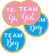 Gold Gender Reveal Stickers, 80 Pack Team Boy and Team Girl Baby Shower Labels, 2 Inch