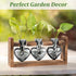 (3 Lifecapido Heart Shaped Propagation Stations, Plant Terrarium with Wooden Stand, Plant Propagation Station