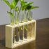 5 Kingbuy Wall Propagation Station with Test Tube Vases - Vintage Wood Stand Wall Hanging Planter for Plants, Tabletop
