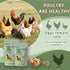 Goose,10 oz Chicken Gut Modulator of Health, Natural Formula Anti Diarrhea Modulator Powder for Chickens & Poultry