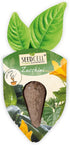 Pack 1 Vegtrug Seed Pods Kit - Vegetable Patch, Non-GMO Seeds with Fully Biodegradable Seed Pods, Contains Seeds