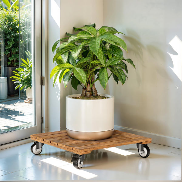 Idzo 2-Pack 12 Inch Acacia Wood Rolling Square Plant Caddy for Plant