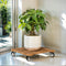 Idzo 2-Pack 12 Inch Acacia Wood Rolling Square Plant Caddy for Plant