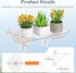 6" 2 Pack, 38 15 cm/15.2x6 Lifewit Extra Wide & Strong Window Plant Floating Shelves Heavy Duty Acrylic Suction Cup