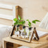 Bulb Marbrasse Plant Propagation Stations with Wooden Stand, Desktop Plant Terrarium Holder Vase, Glass Vase Container