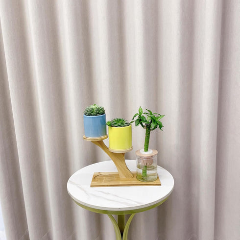 Window Sill Plant Shelf, Bamboo Desk Plant Stand, Table Succulent Holder for Home, Office, Living Room, Bedroom Decor