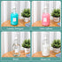VEGEVIGI 64 OZ 1P Laundry Detergent Dispenser BY , Glass,Glass Liquid Laundry Soap Dispenser with Pump, Bleach