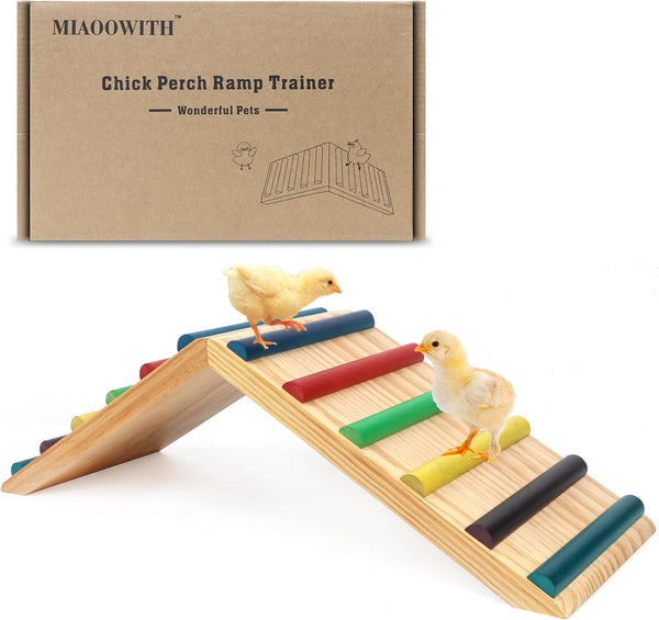 Rainbow Chicken Perch and Ramp Trainer, 2 in 1 Sturdy Wooden Chicken