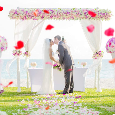 4500 Pack White Rose Petals, Artificial Flower Petals for Romantic Nights, Valentine's Day and Weddings