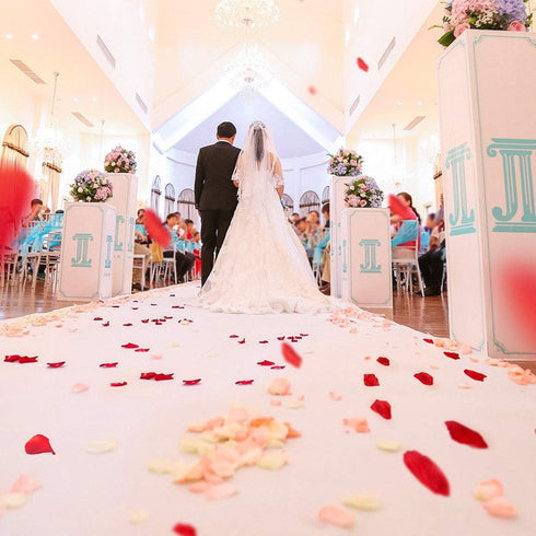 4500 Pack White Rose Petals, Artificial Flower Petals for Romantic Nights, Valentine's Day and Weddings
