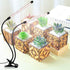 Light,6000K Plants,5-Level Dimmable,Auto 4 8 12Hrs GooingTop LED Grow Full Spectrum Clip Plant Growing Lamp with White
