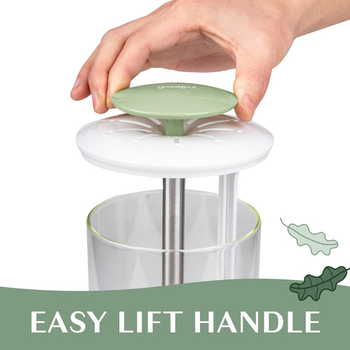 Goodful Herb Keeper Preserver, Designed for Optimum Breathable Airflow for Maximum Freshness, Water Line Ensures the