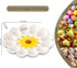 YU&CH Ceramic Sunflower Deviled Egg Tray - White Egg Platter For Party