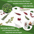 84 Pcs Dried Pressed Leaves Flowers Kit, Assorted Natural Dried Greenery for Resin Art, DIY Crafts & Scrapbooking