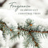 Thymes Frasier Fir 12" Taper Candle Set - Scented Candle with Crisp Siberian Fir, Cedarwood, Sandalwood Notes