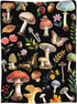Knerova Cozy 40"x50" Mushroom Blanket - Ultra Soft Mushroom Throw Blanket, Super Fuzzy Plush Fleece Warm Stuffed Animal