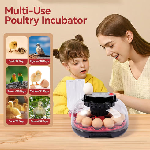 12 360 Egg Incubators for Hatching Eggs, Chicken Egg Incubator with Automatic Egg Turning and Temperature Humidity