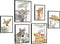 HLJ ART Safari Animal Nursery Wall Art: Woodland Nursery Wall Decor Set